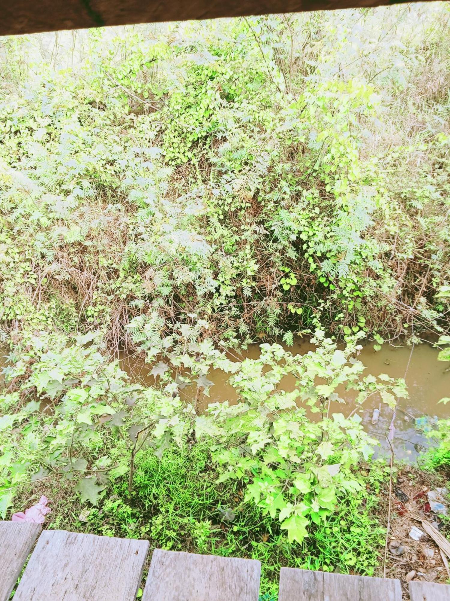 Chamkachuk Home Siem Reap Exteriör bild
